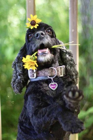 588a2350 a394 4a26 9d51d6618f4